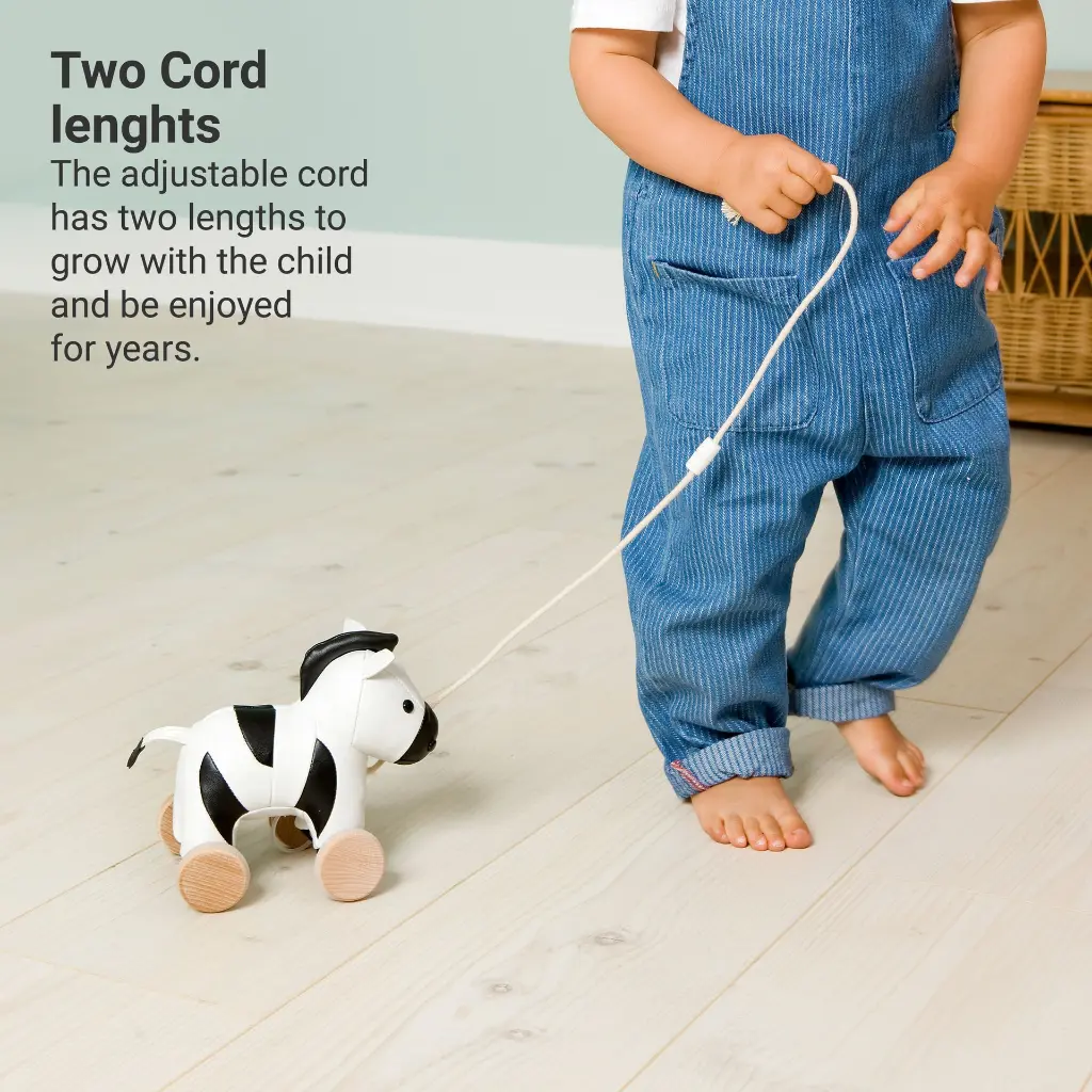 Pull Along Friends - Robert the Zebra - Picture # 6.webp